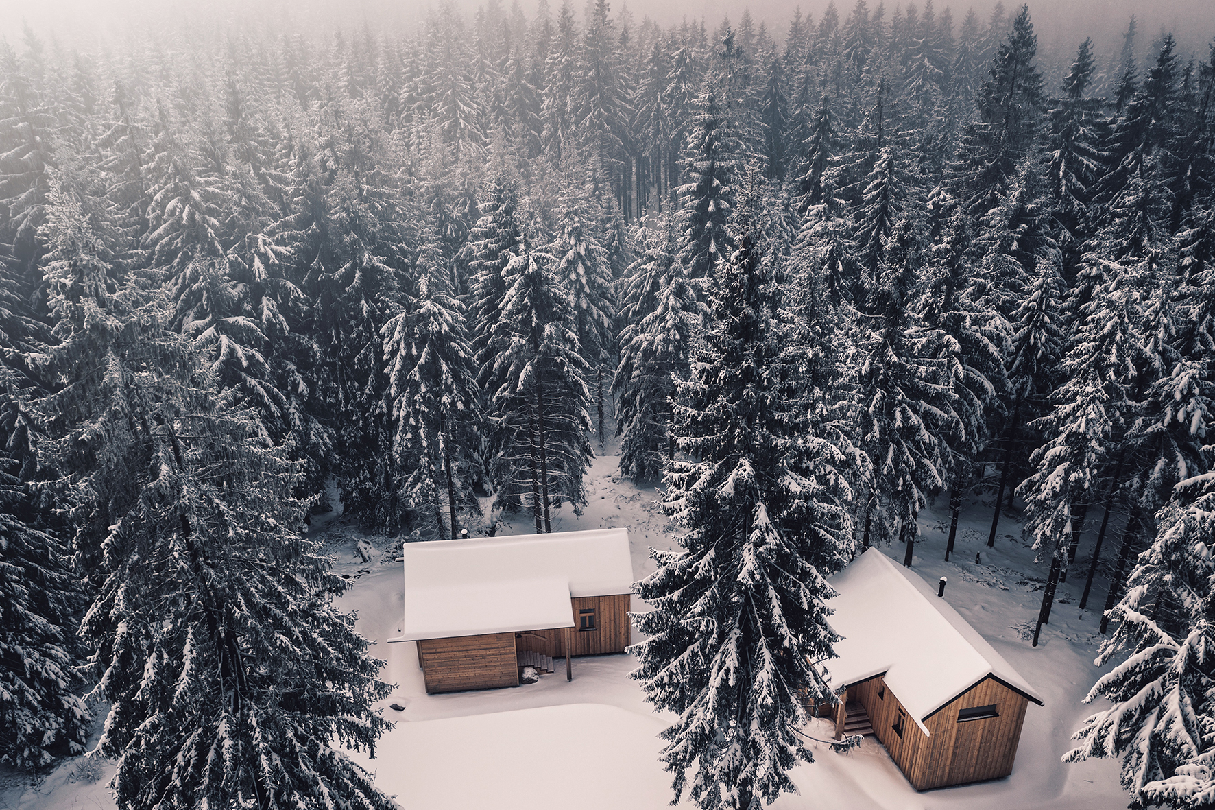 Ferienhaus mit Hund: Ramenai Das Böhmerwaldlerdorf