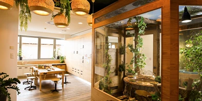 Hundehotel - Hundewiese: nicht eingezäunt - Neusiedler See - Therme_Kinderbereich_Forschungsstation - St. Martins Therme & Lodge 4* Superior
