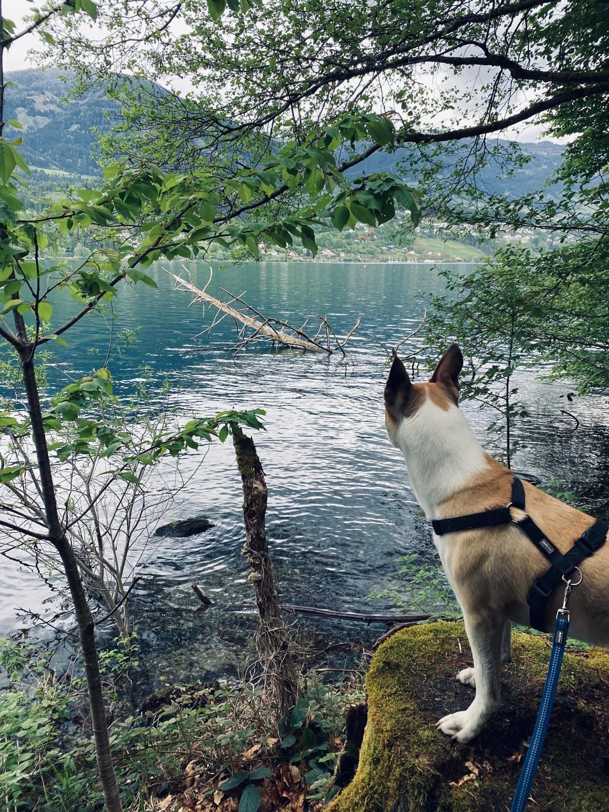 Seehotel Steiner Ausflugsziele Südufer Slow Trail