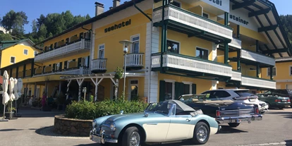Hundehotel - Trink-/Fressnapf: vor dem Haus - Millstättersee - Seehotel Steiner