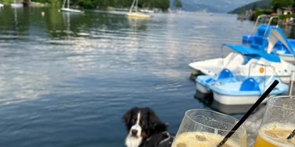 Hundehotel - Trink-/Fressnapf: vor dem Haus - Millstättersee - Seehotel Steiner