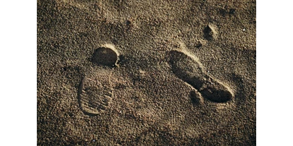 Hundehotel - Doggies: 3 Doggies - Und wer Sand unter den Füßen will ... die größte Sandkiste des Nordens ist nur unweit von Büsum entfernt und das mit tollen Hundeauslaufgebieten. - Astra Maris Hotel & Apartments