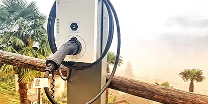 Hundehotel - Unterkunftsart: Einzelhaus - Ladestation Typ 2 für unsere Gäste auf dem Privatparkplatz - Casa Fiore - Ferien am Lago Maggiore