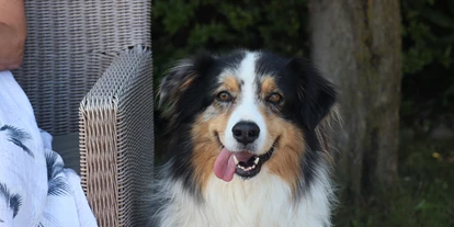 Hundehotel - Unterkunftsart: Einzelhaus - Happy, happy.... - Casa Fiore - Ferien am Lago Maggiore