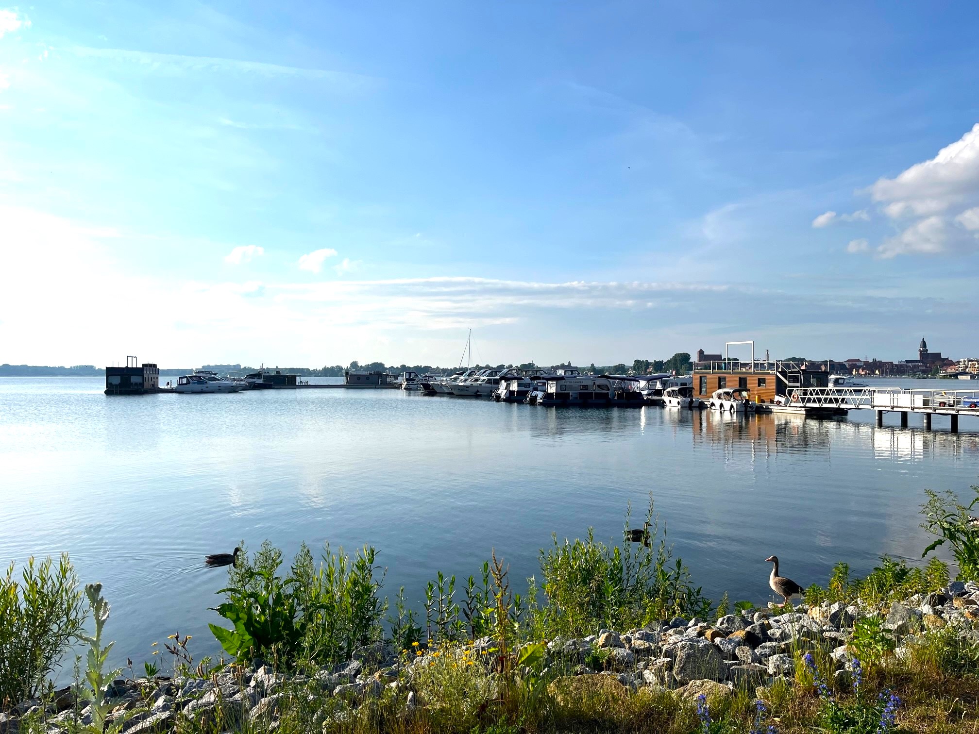 Urlaub-mit-Hund: Yachthafen mit über 60 Liegeplätzen. - MAREMÜRITZ Yachthafen Resort
