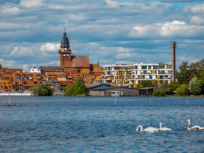 Hundehotel - Doggies: 3 Doggies - Altstadt Waren (Müritz) - MAREMÜRITZ Yachthafen Resort