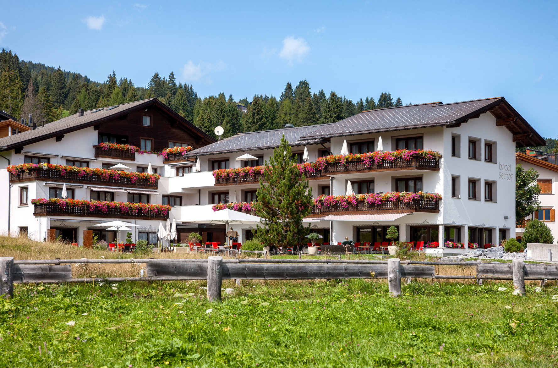 Hundehotel - Graubünden - Hotel Seehof