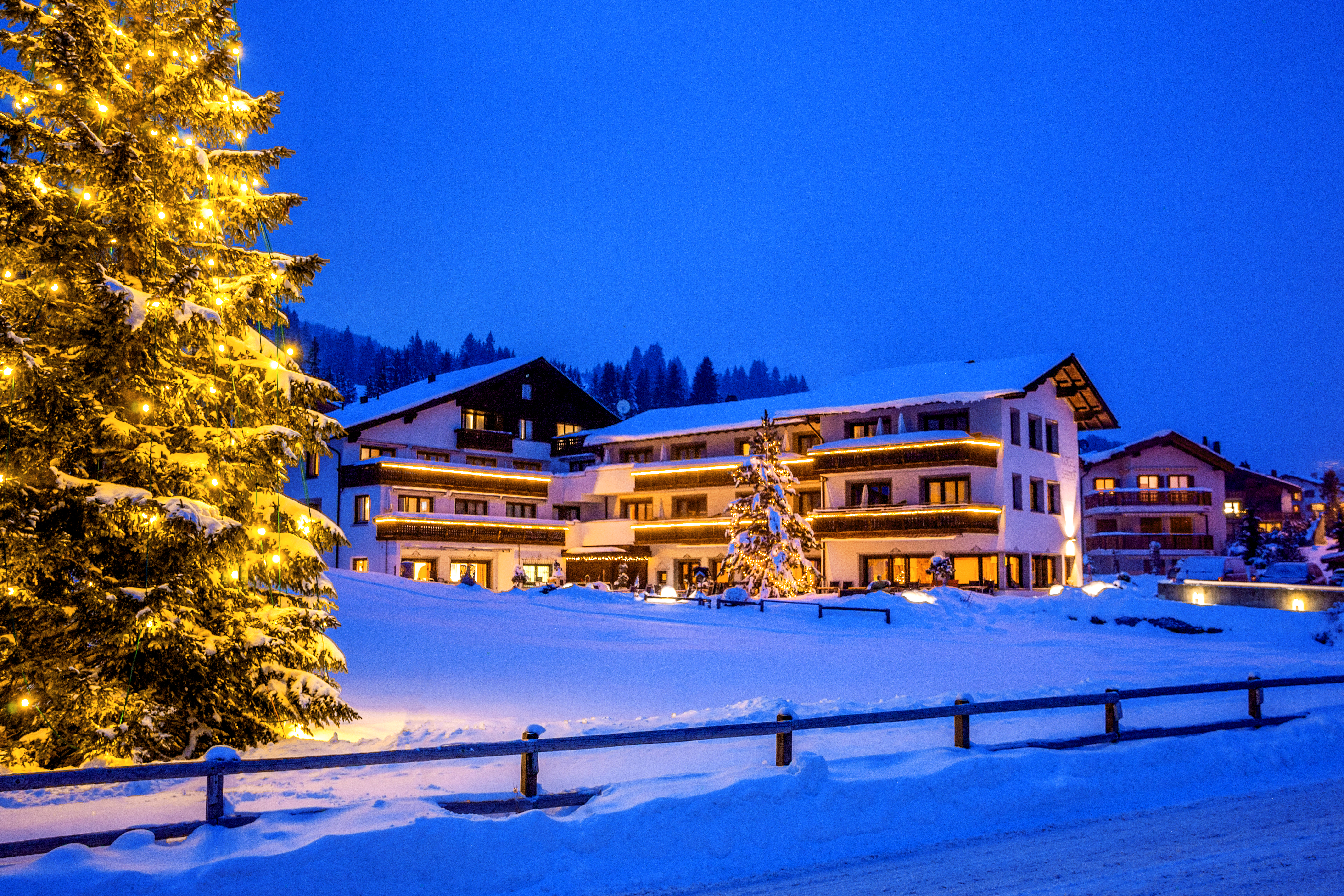 Urlaub-mit-Hund: Hotel Seehof