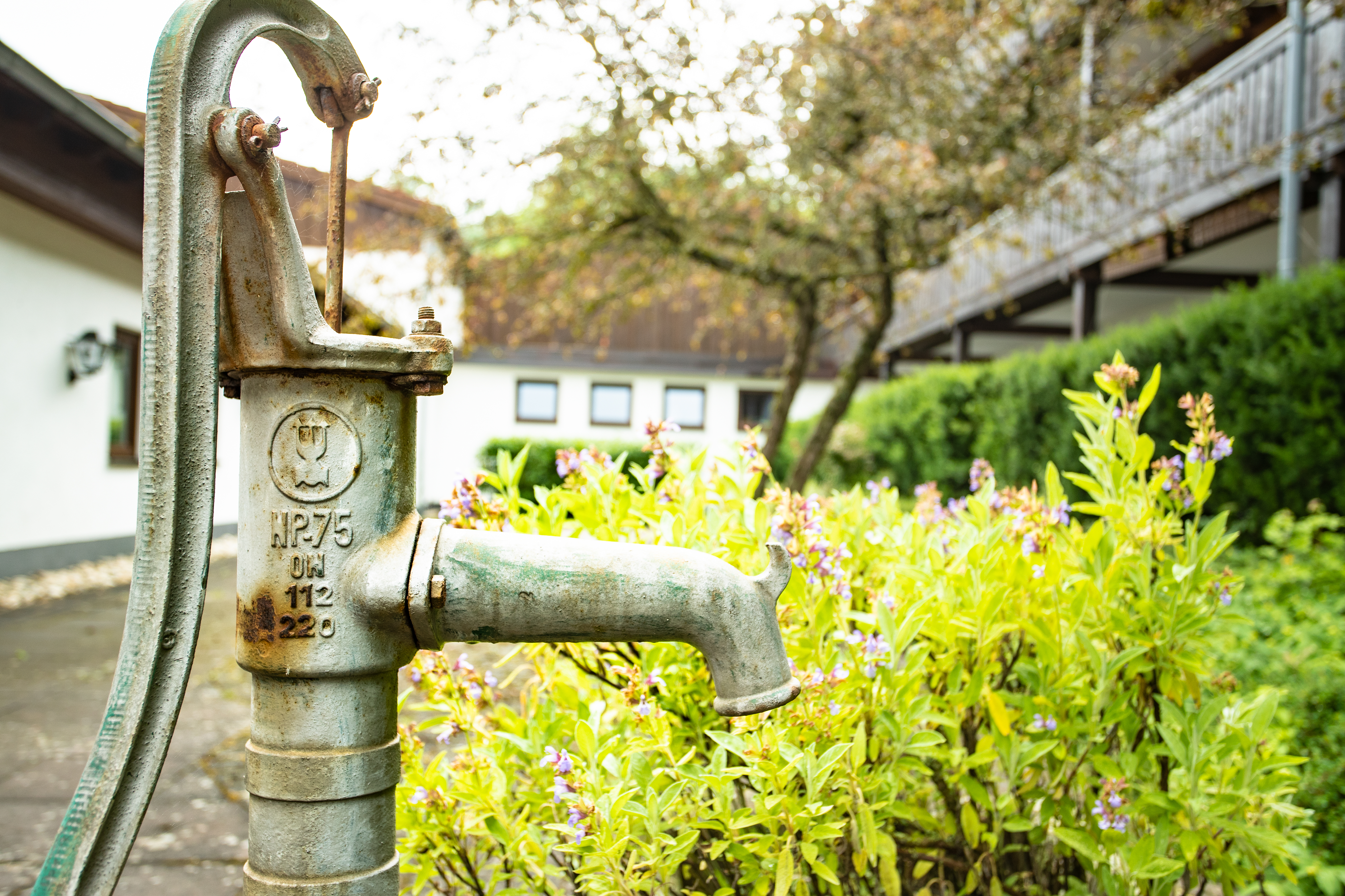 Hundehotel - Hessen - Innenhof - Rhön Residence