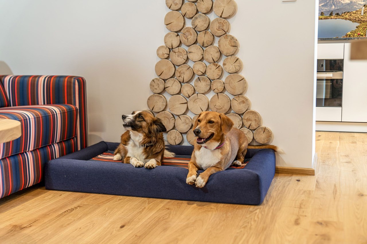 Almfrieden Hotel & Romantikchalet Zimmerkategorien PanoramaAppartement WeitBlick Nr. 1