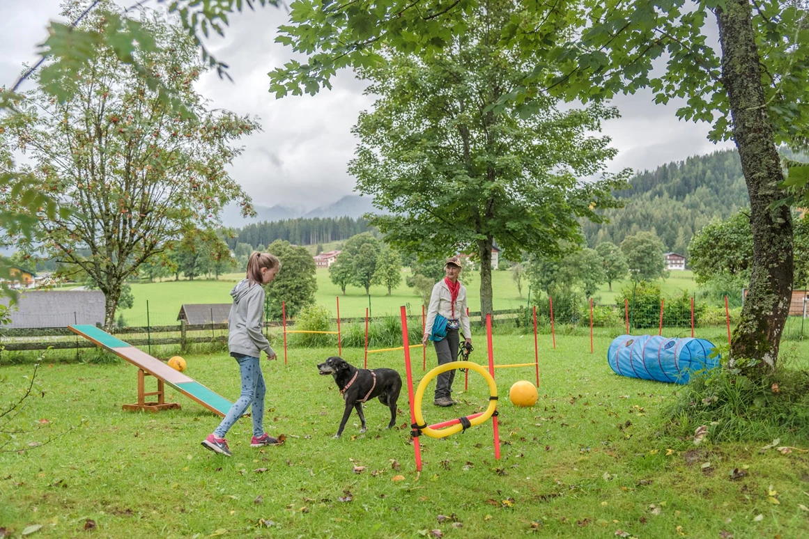 Urlaub-mit-Hund: Agility Park für Hunde direkt am Hotelgelände, auch im Winter - Almfrieden Hotel & Romantikchalet - Haus | Umgebung, Urlaub mit Hund