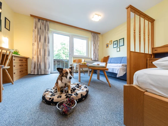 Urlaub-mit-Hund: Almfrieden Hotel & Romantikchalet - Urlaub mit Hund, Wohnen | Schlafen