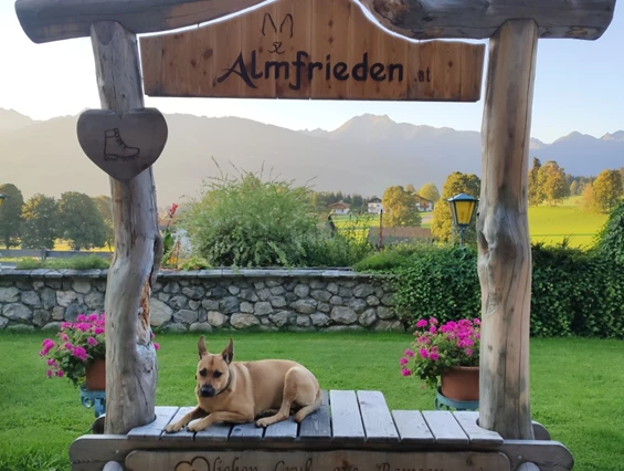 Urlaub-mit-Hund: Almfrieden Hotel & Romantikchalet