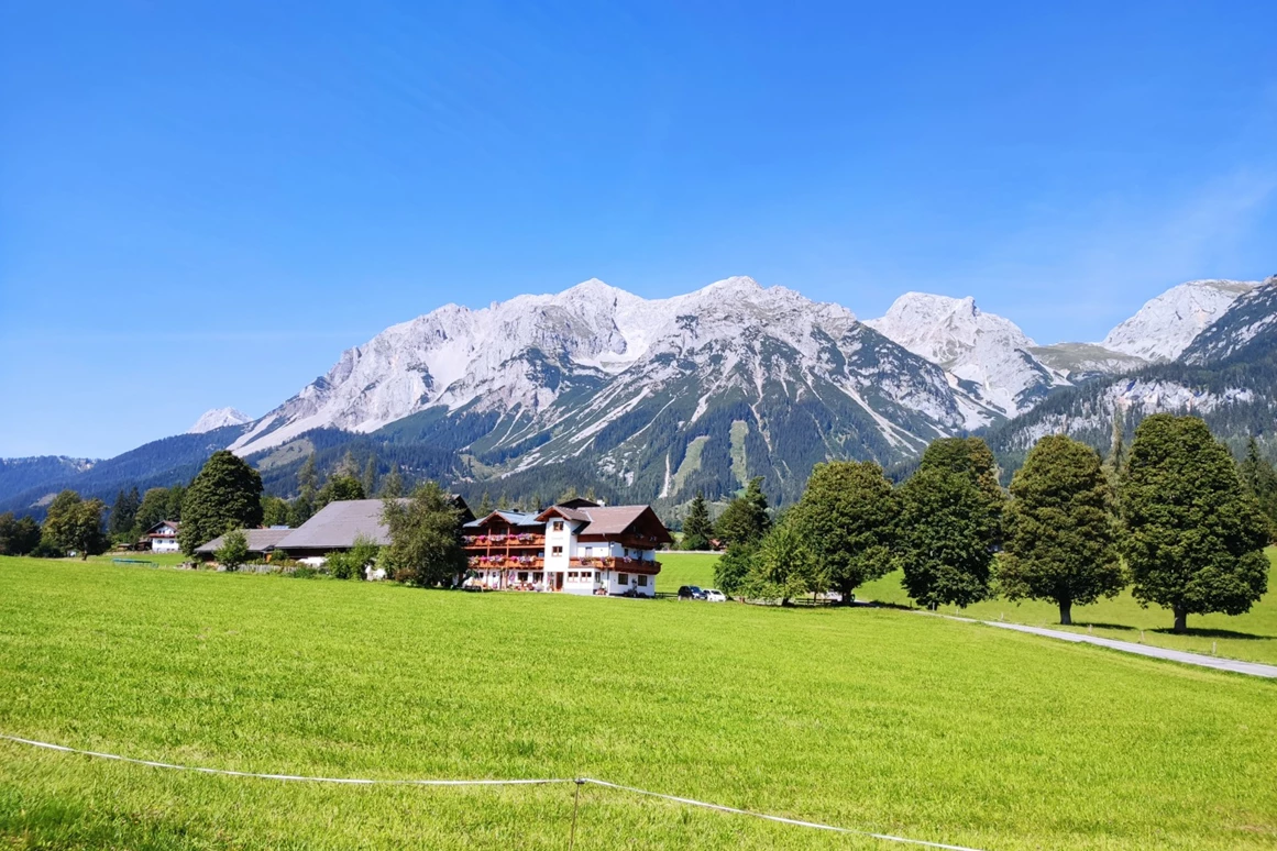 Urlaub-mit-Hund: Almfrieden Hotel & Romantikchalet