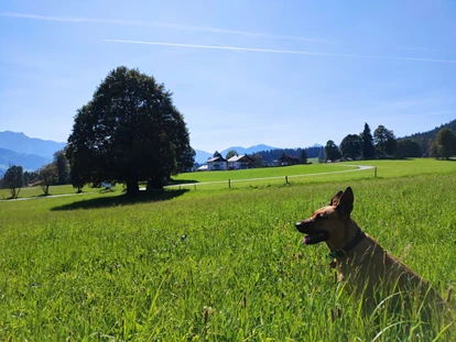 Hundehotel - Tauplitz - Almfrieden Hotel & Romantikchalet