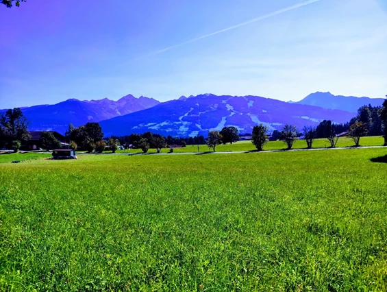 Urlaub-mit-Hund: Almfrieden Hotel & Romantikchalet