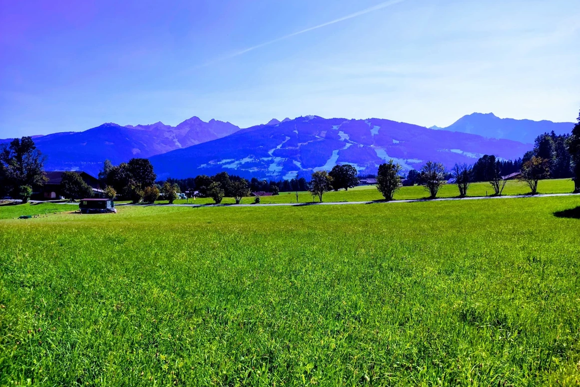 Urlaub-mit-Hund: Almfrieden Hotel & Romantikchalet