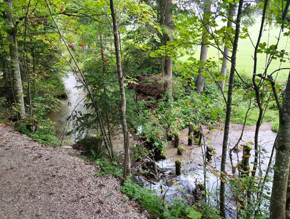 Urlaub-mit-Hund: Almfrieden Hotel & Romantikchalet