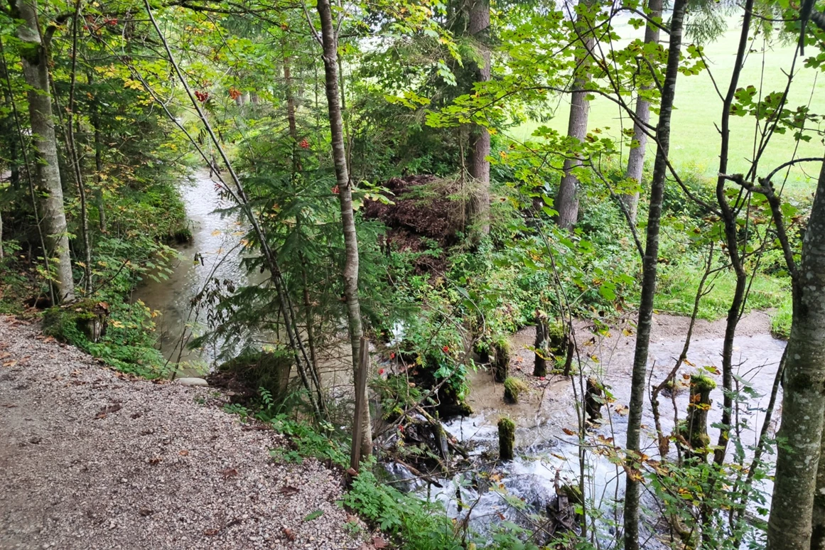Urlaub-mit-Hund: Almfrieden Hotel & Romantikchalet