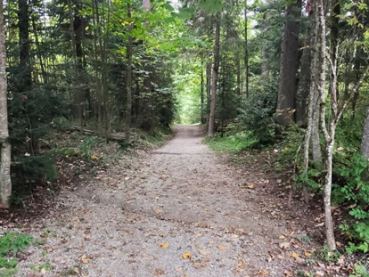 Hundehotel - Tauplitz - Almfrieden Hotel & Romantikchalet