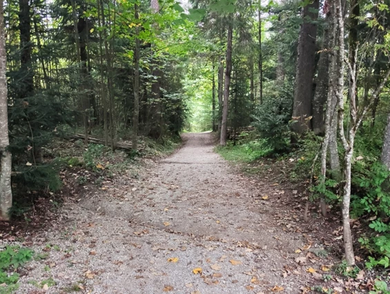 Urlaub-mit-Hund: Almfrieden Hotel & Romantikchalet