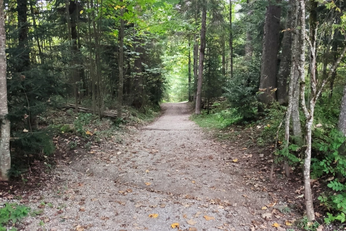 Urlaub-mit-Hund: Almfrieden Hotel & Romantikchalet