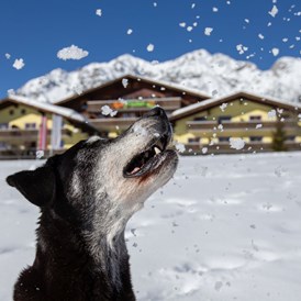 Urlaub-mit-Hund: Sapß im Schnee - auch für Ihren Vierbeiner! - Almfrieden Hotel & Romantikchalet