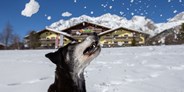 Hundehotel - Verpflegung: Frühstück - Sapß im Schnee - auch für Ihren Vierbeiner! - Almfrieden Hotel & Romantikchalet