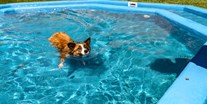 Hundehotel - Doggies: 6 Doggies - unser im Juli 2022 neu errichteter Hundepool - Almfrieden Hotel & Romantikchalet