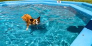 Hundehotel - Bademöglichkeit für Hunde - unser im Juli 2022 neu errichteter Hundepool - Almfrieden Hotel & Romantikchalet