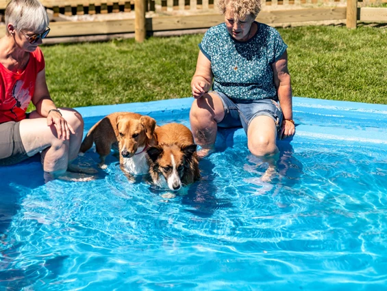 Urlaub-mit-Hund: Almfrieden Hotel & Romantikchalet - Urlaub mit Hund