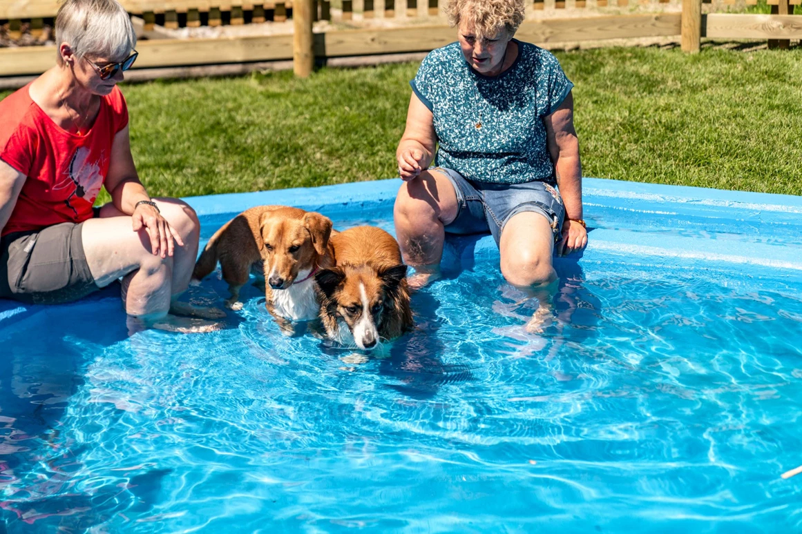 Urlaub-mit-Hund: Almfrieden Hotel & Romantikchalet - Urlaub mit Hund