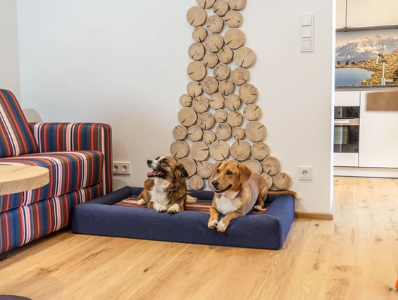 Urlaub-mit-Hund: Almfrieden Hotel & Romantikchalet - Urlaub mit Hund, Wohnen | Schlafen