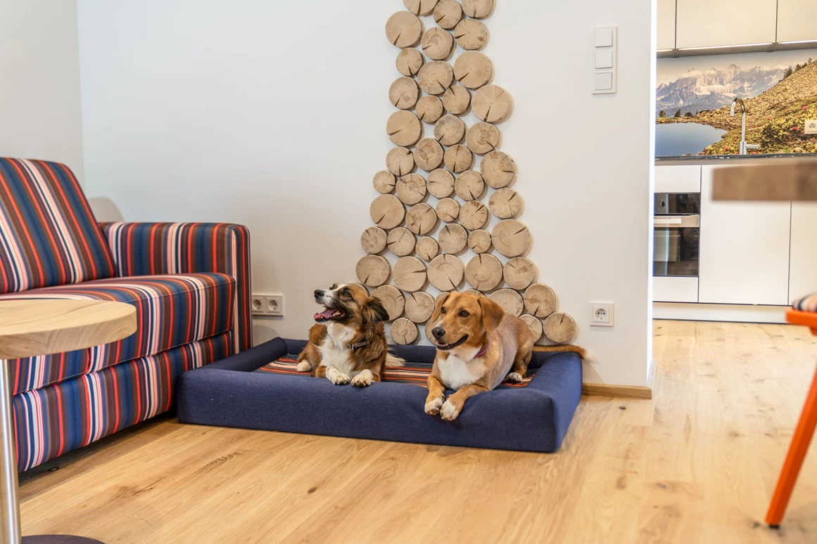 Urlaub-mit-Hund: Almfrieden Hotel & Romantikchalet - Urlaub mit Hund, Wohnen | Schlafen