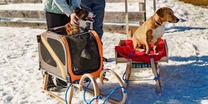 Hundehotel - Verpflegung: Halbpension - Hundeschlitten - Verleih im Hotel - Almfrieden Hotel & Romantikchalet