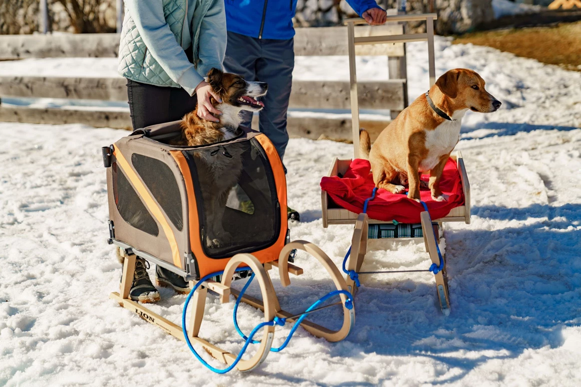 Urlaub-mit-Hund: Hundeschlitten - Verleih im Hotel - Almfrieden Hotel & Romantikchalet - Urlaub mit Hund