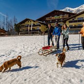Urlaub-mit-Hund - Winterwandern direkt vom Hotel - Almfrieden Hotel & Romantikchalet