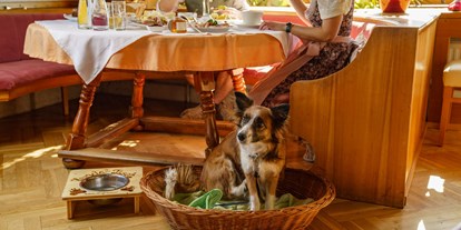 Hundehotel - Besorgung Hundefutter - Ihr Hund ist in unserem Restaurant herzlich willkommen - Almfrieden Hotel & Romantikchalet
