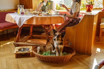 Urlaub-mit-Hund: Ihr Hund ist in unserem Restaurant herzlich willkommen - Almfrieden Hotel & Romantikchalet