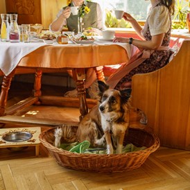 Urlaub-mit-Hund: Almfrieden Hotel & Romantikchalet