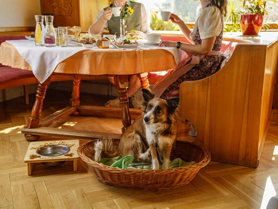 Urlaub-mit-Hund: Ihr Hund ist in unserem Restaurant herzlich willkommen - Almfrieden Hotel & Romantikchalet - Essen | Trinken, Urlaub mit Hund