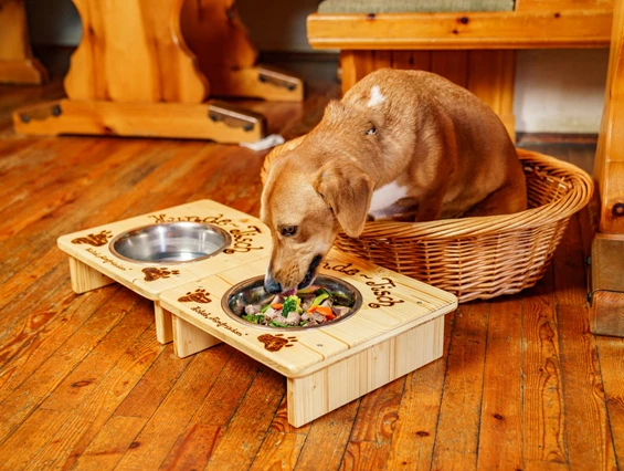 Urlaub-mit-Hund: Almfrieden Hotel & Romantikchalet - Essen | Trinken, Urlaub mit Hund