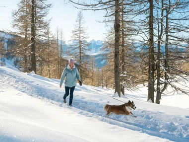 Urlaub-mit-Hund: Almfrieden Hotel & Romantikchalet - Urlaub mit Hund