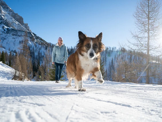 Urlaub-mit-Hund: Almfrieden Hotel & Romantikchalet - Urlaub mit Hund