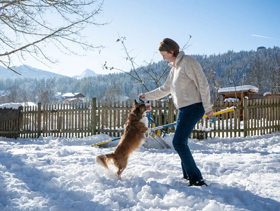 Urlaub-mit-Hund: Almfrieden Hotel & Romantikchalet - Haus | Umgebung, Urlaub mit Hund