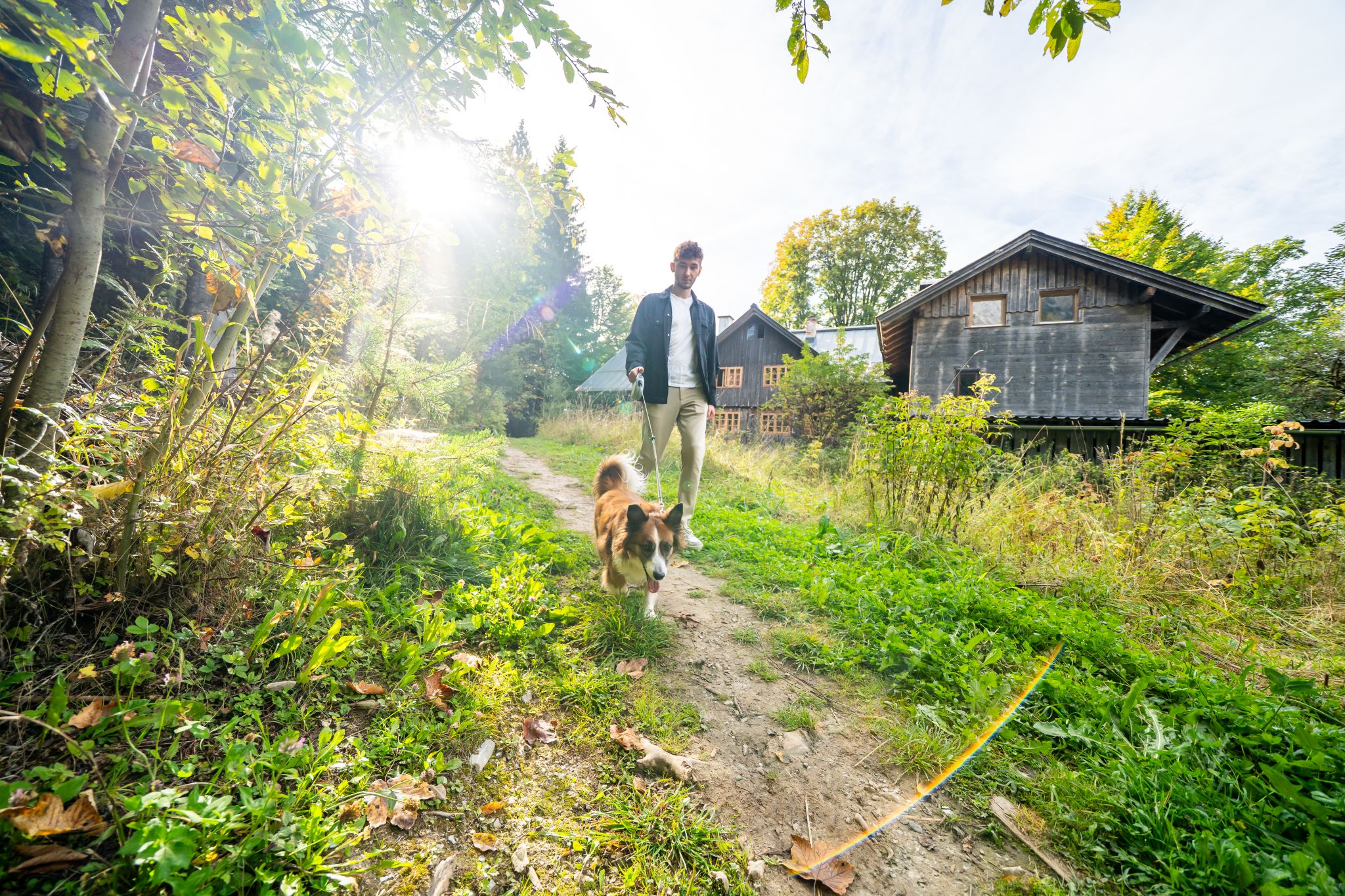 Urlaub-mit-Hund: Spazieren mit Hund - Almfrieden Hotel & Romantikchalet - Haus | Umgebung, Urlaub mit Hund
