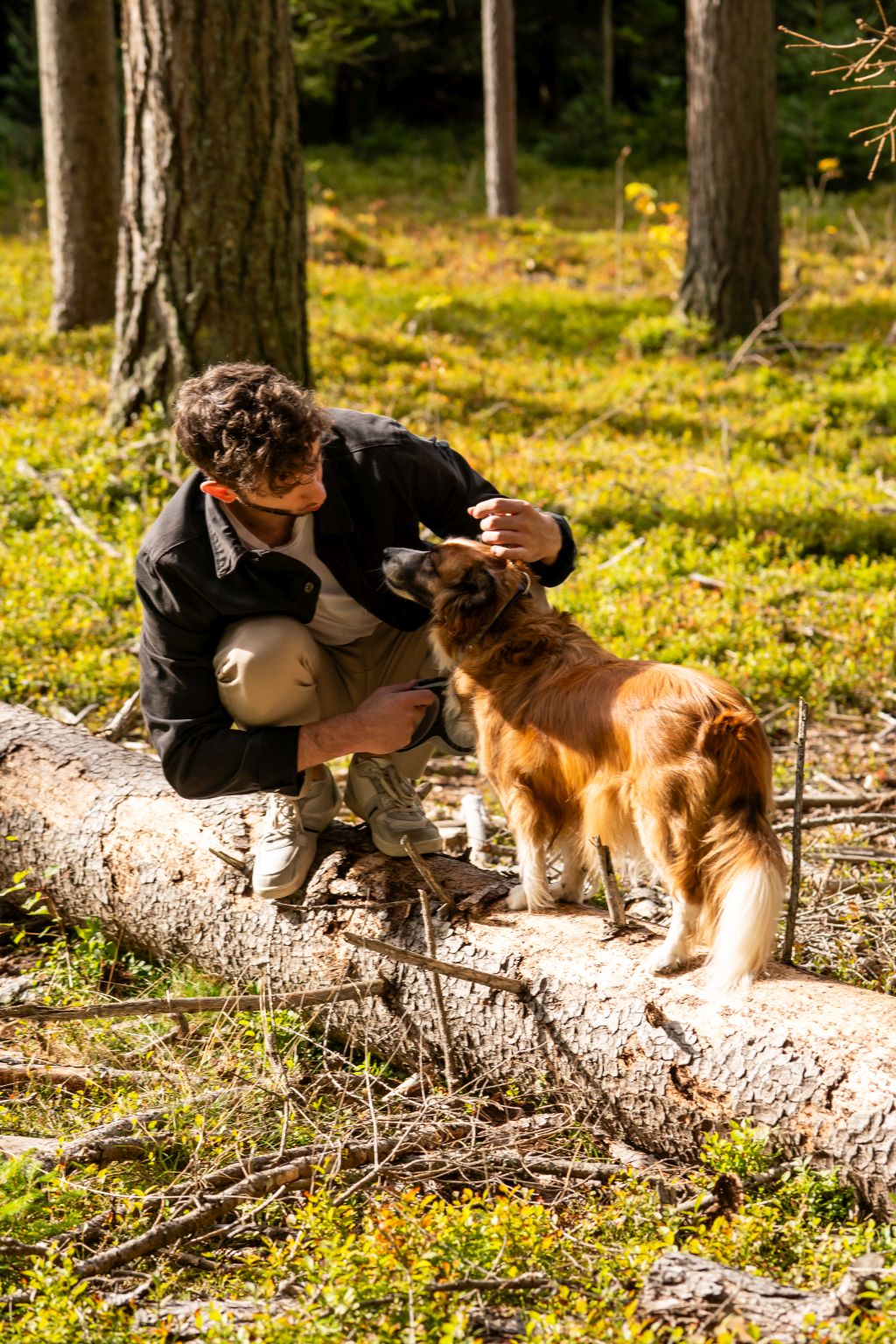 Urlaub-mit-Hund: Spazieren mit Hund - Almfrieden Hotel & Romantikchalet - Haus | Umgebung, Urlaub mit Hund