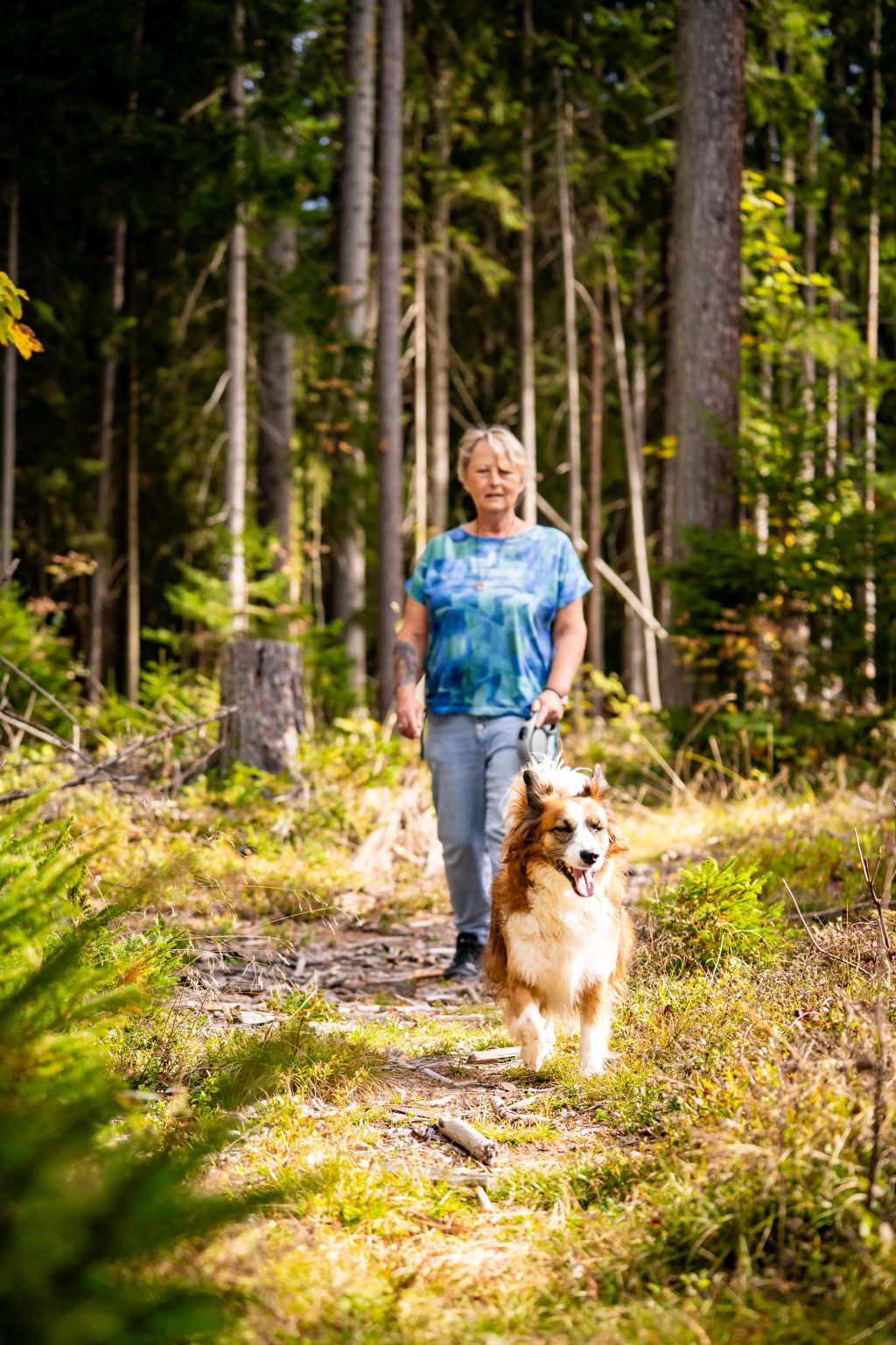 Urlaub-mit-Hund: Spazieren mit Hund - Almfrieden Hotel & Romantikchalet - Haus | Umgebung, Urlaub mit Hund