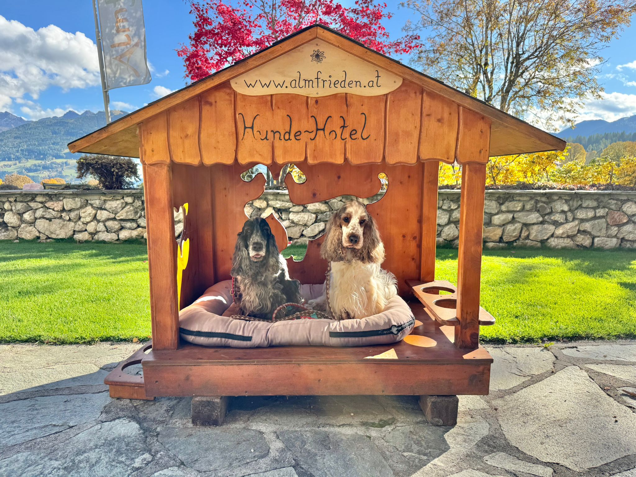 Urlaub-mit-Hund: Hundehütte - Almfrieden Hotel & Romantikchalet - Haus | Umgebung, Urlaub mit Hund