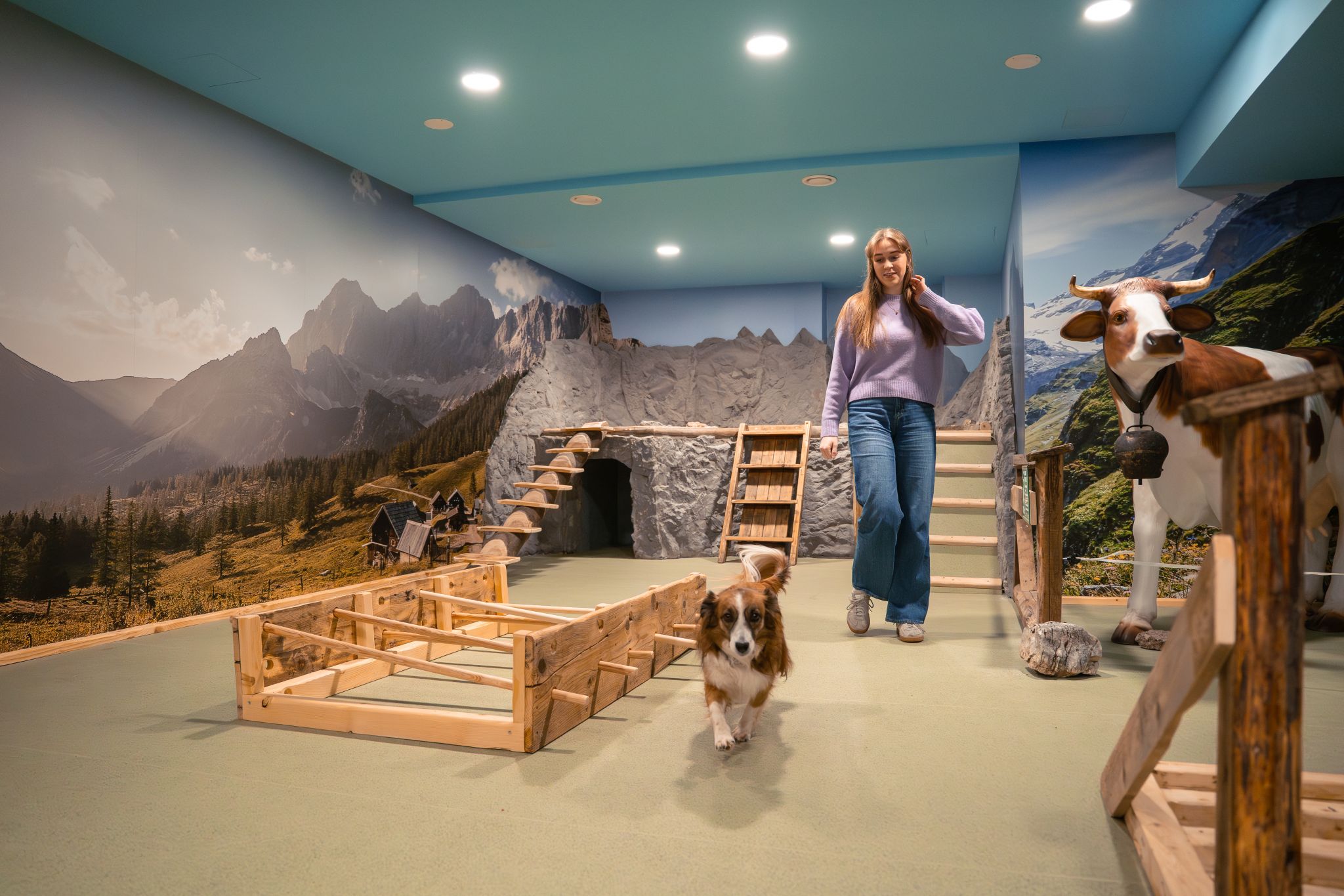 Hundehotel - Umgebungsschwerpunkt: Berg - Österreich - 1. Alpiner Indoor Hundetrainingsraum - Almfrieden Hotel & Romantikchalet